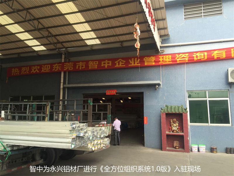 《组织系统》咨询项目